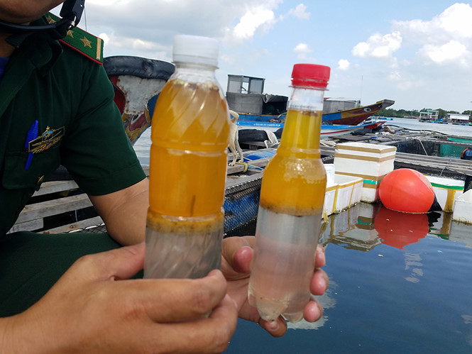 Sông Chà Và xuất hiện dày đặc 'chất lạ'