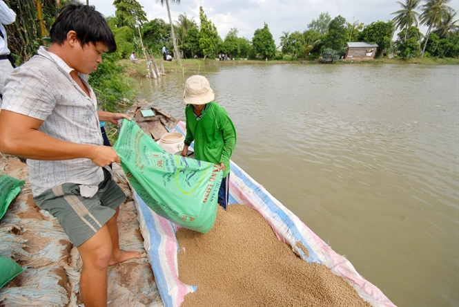 chất lượng thức ăn