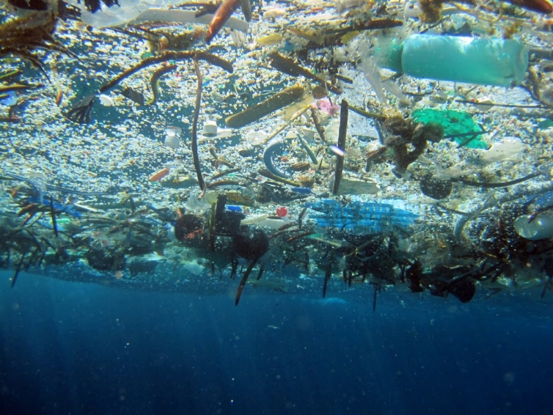 Chất thải nhựa trên biển: Hiểm cận kề