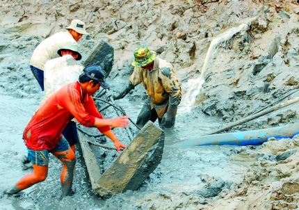 Bức xúc xả thải nuôi tôm công nghiệp