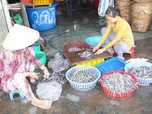 chế biến cá khô