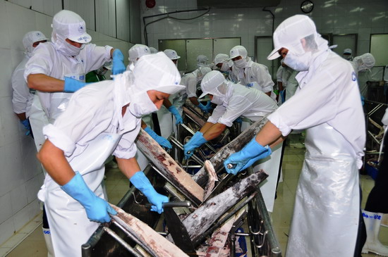 Xuất khẩu cá ngừ phục hồi mạnh