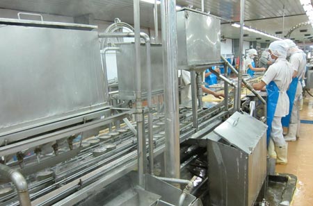 Ảnh: Chế biến cá ngừ đóng hộp sẽ gặp khó khăn nếu EU thắt chặt kiểm soát việc khai thác IUU. Ảnh minh họa.