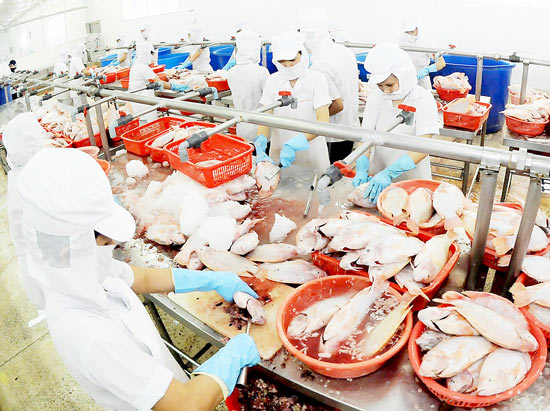 chế biến cá rô phi