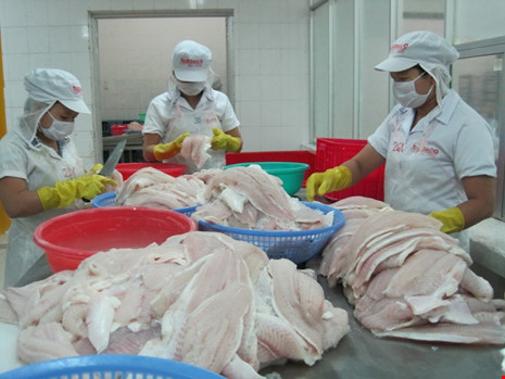 chế biến cá tra