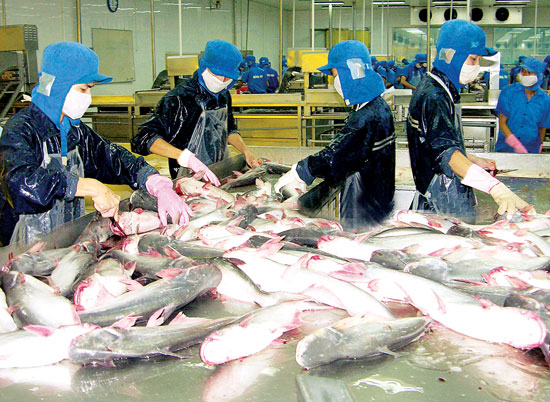 che biến cá tra xuất khẩu