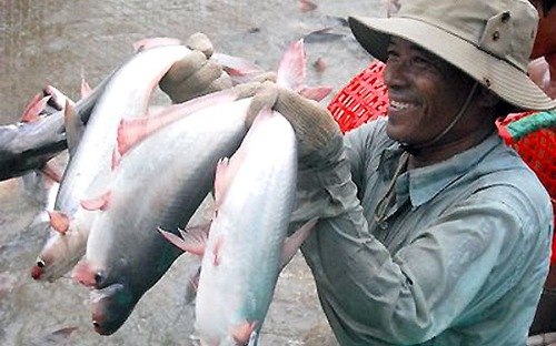 Thách thức mới với mặt hàng chiến lược cá tra xuất khẩu
