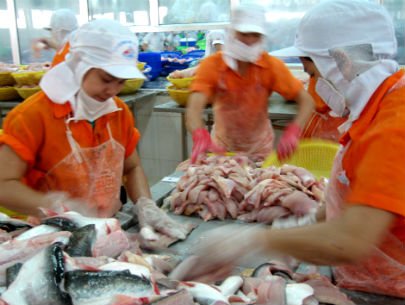 chế biến cá tra xuất khẩu