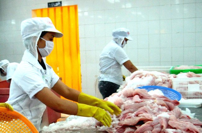 chế biến cá tra