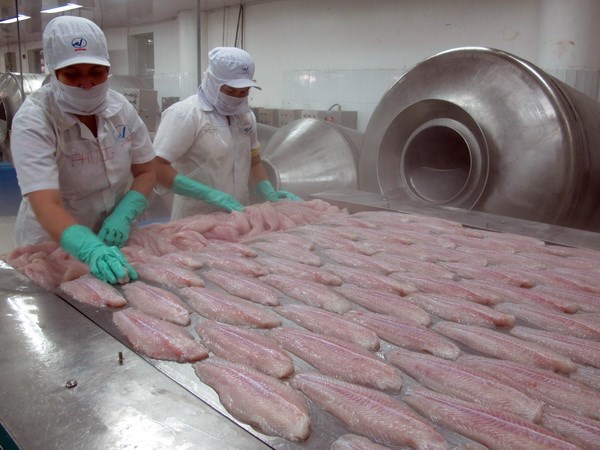 chế biến cá tra