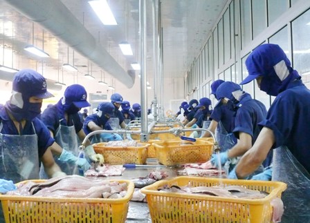 chế biến cá tra