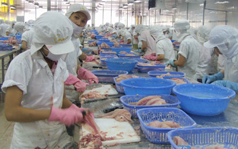 chế biến cá tra