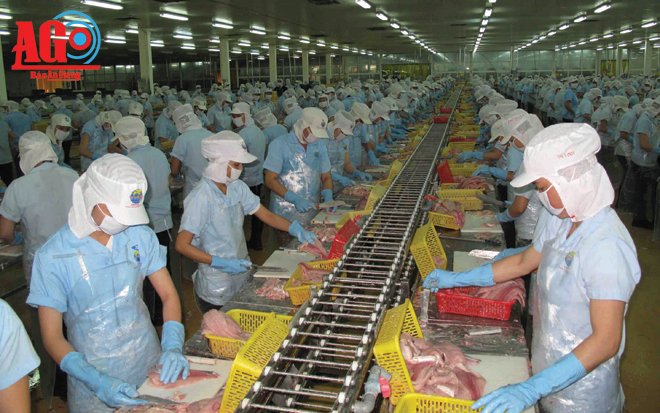 chế biến cá tra