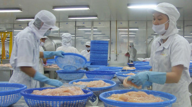 chế biến cá