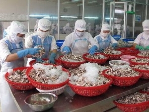 Chế biến hải sản xuất khẩu. (Ảnh: Phương Vy/TTXVN).