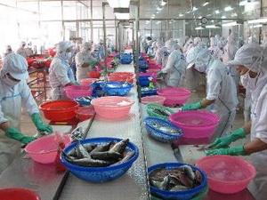 Chế biến hải sản xuất khẩu. (Ảnh:Phương Vy/TTXVN)