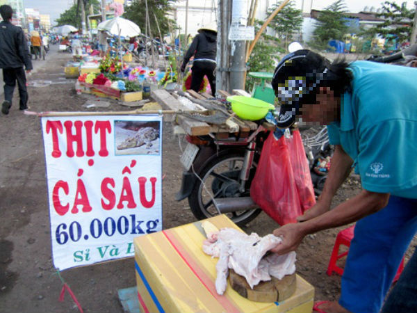 chế biến thịt cá sấu