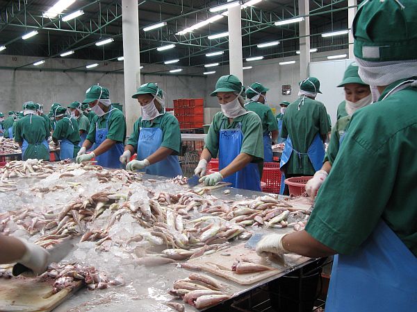 chế biến thủy sản sai tên