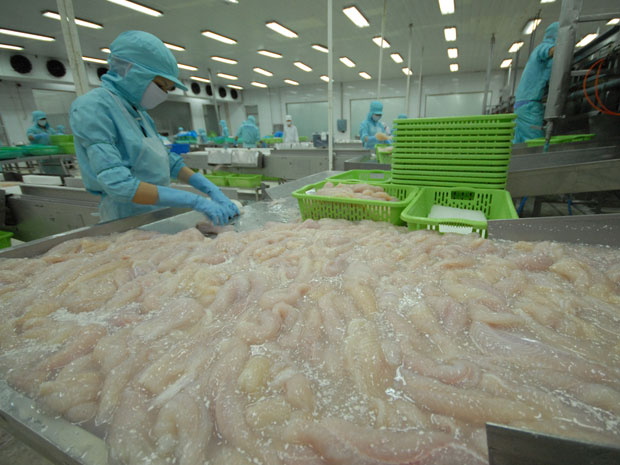 che bien thuy san xuat khau