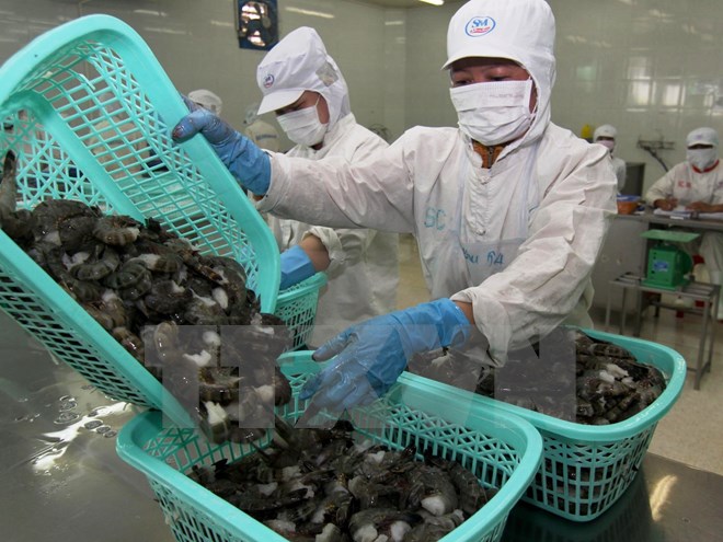 Chế biến tôm đông lạnh