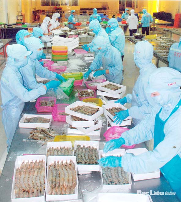 chê biến tôm sú