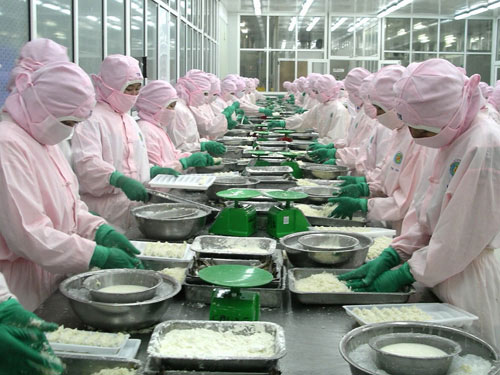 chế biến tôm xuất khẩu