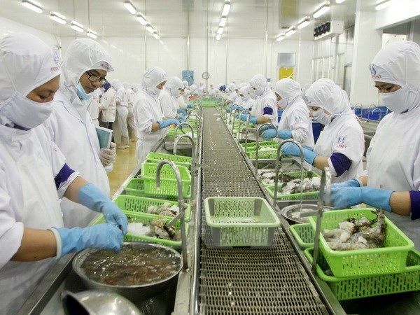 Chế biến tôm xuất khẩu