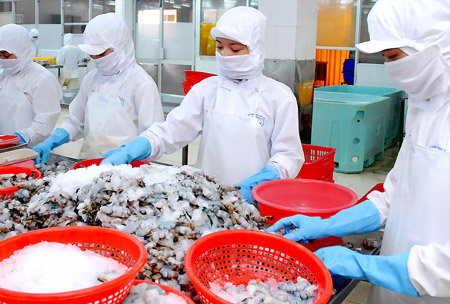 chế biến tôm xuất khẩu