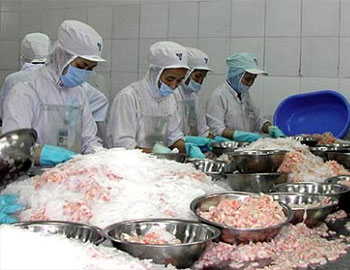 chế biến tôm, tôm xuất khẩu