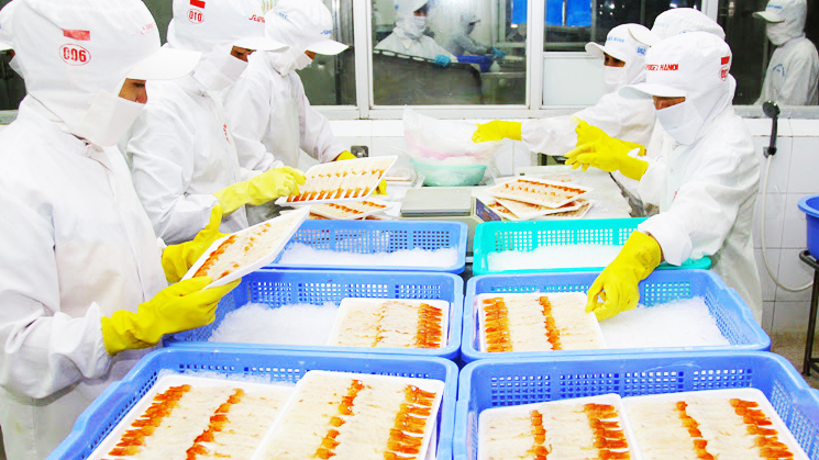 Úc sang Việt Nam tìm hiểu về chuỗi sản xuất tôm XK sang Úc