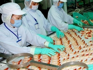 Chế biến tôm xuất khẩu
