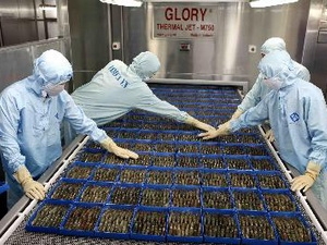 Chế biến tôm xuất khẩu. (Ảnh: An Đăng/TTXVN)