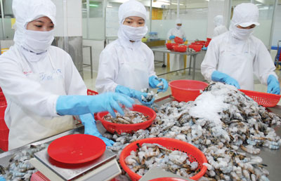 che bien xuat khau tom