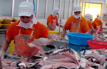 Chế biến cá tra