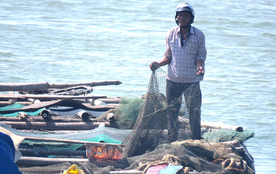 chiếc lồng bị cắt