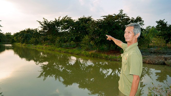 chiến tích giữ ngọt