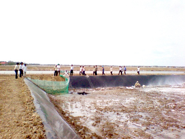 Sử dụng Chlorine xử lý ao hồ ở xã Mỹ Long Nam (Cầu Ngang)