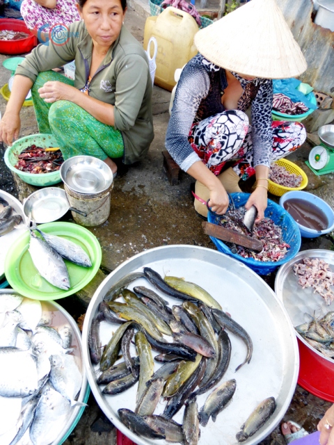 chợ bán cá