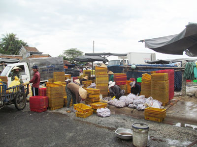 chợ cá chùa Tàu