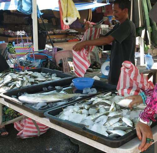 chợ cá Singapore