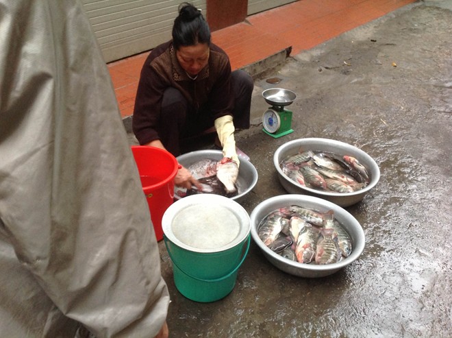 chợ cá lưu động