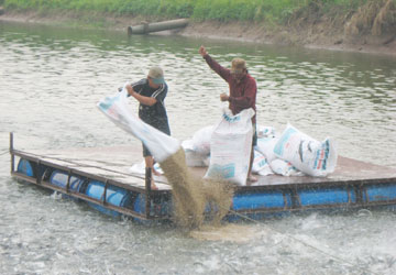 Lợi ích thu mua tạm trữ có đến được tay nông dân hay không?