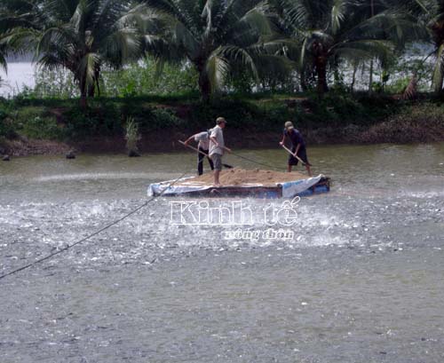 liên kết sản xuất