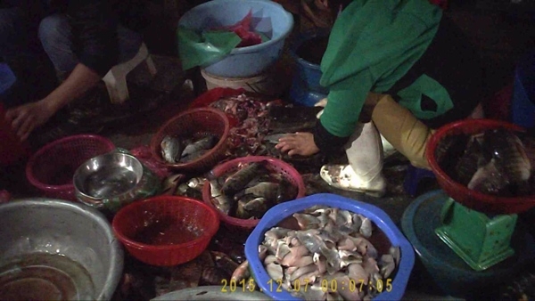 chợ cá ươn