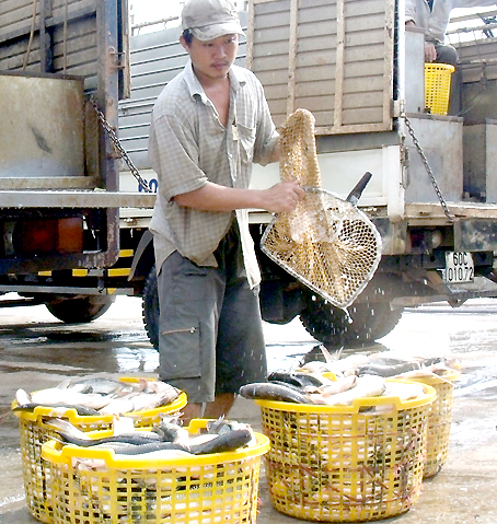 chợ đầu mối Hóa An