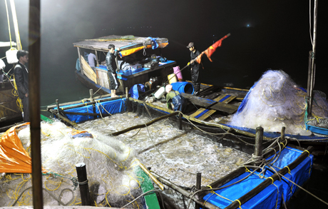 Tàu đánh bắt cập chợ sứa tại khu vực xã đảo Minh Châu (huyện Vân Đồn - Quảng Ninh).