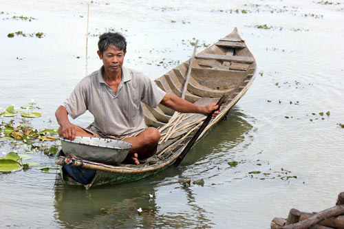 cho tép ăn