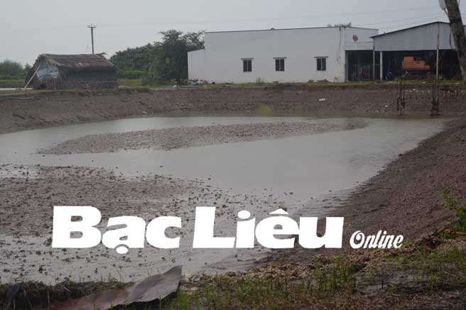 chờ vụ nuôi mới