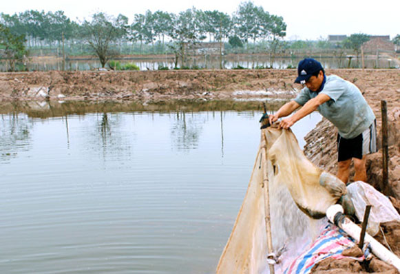 chuan bi ao dam