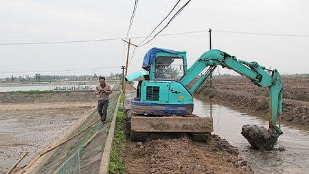 chuan bị ao nuoi tom chan trang